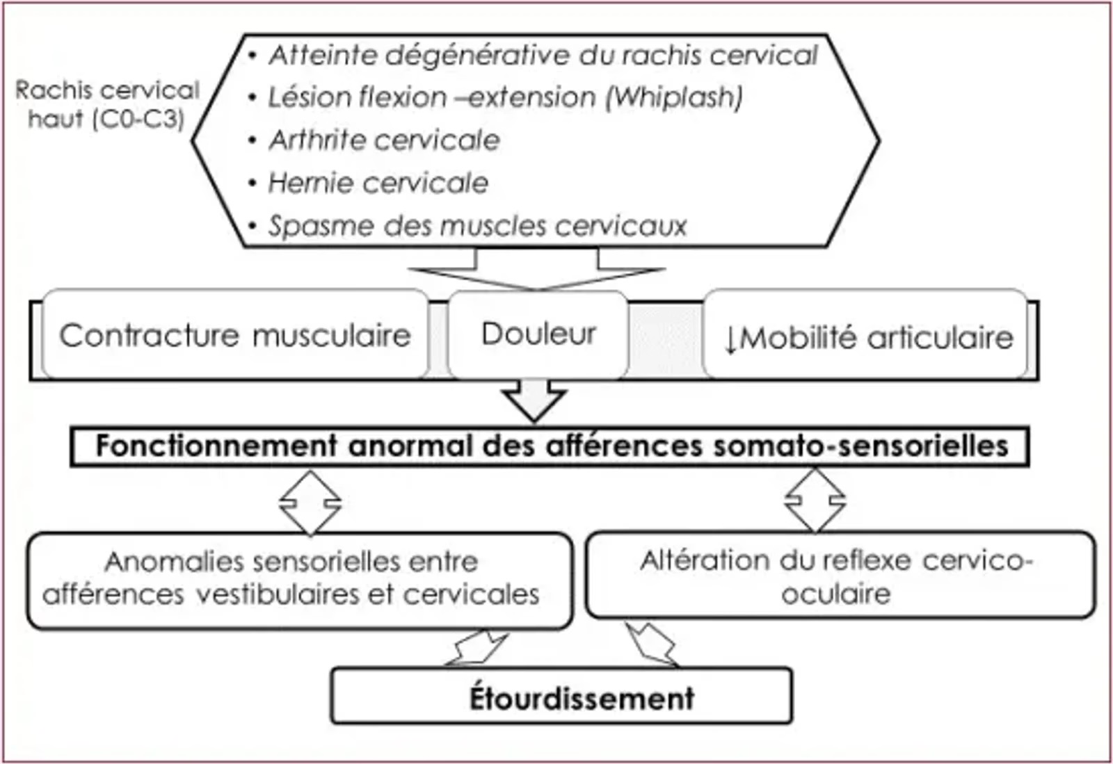 Mécanismes des vertiges ou des étourdissements d'origine cervicale.