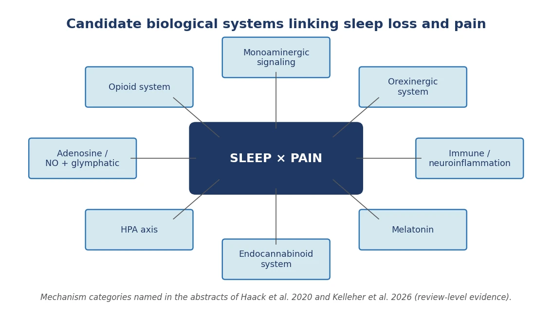 Diagram of candidate biological systems linking sleep loss and chronic pain.