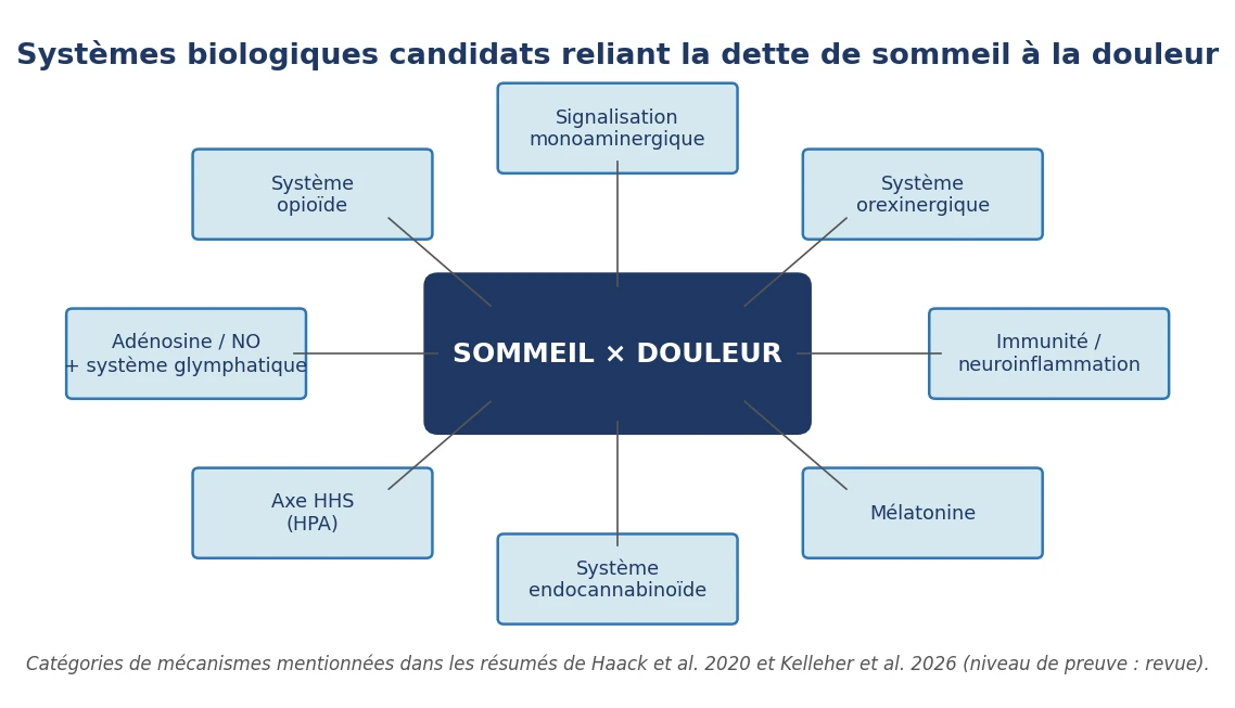 Schéma des systèmes biologiques candidats reliant la dette de sommeil à la douleur chronique.