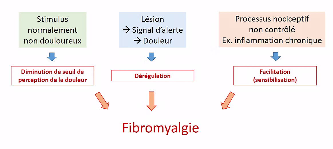 Pain mechanisms in fibromyalgia